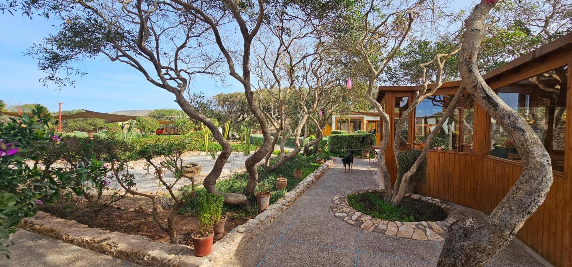 Golden Baibah Hotel Zaouia Akermoud Kültér fotó