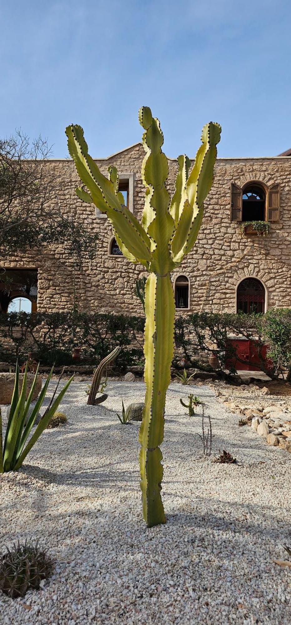 Golden Baibah Hotel Zaouia Akermoud Kültér fotó