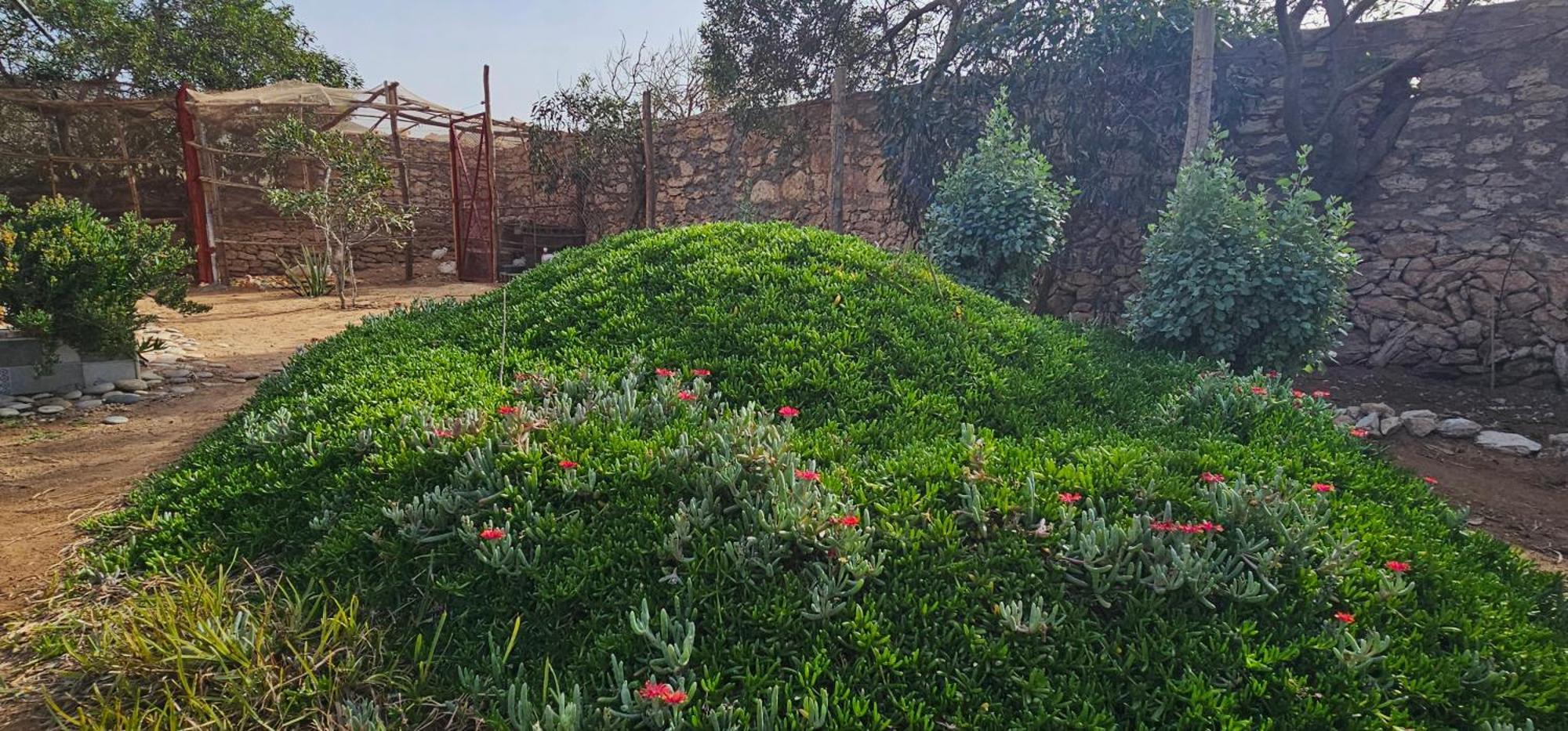 Golden Baibah Hotel Zaouia Akermoud Kültér fotó
